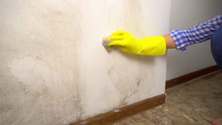 Best Biohazard Mold Removal  in USA